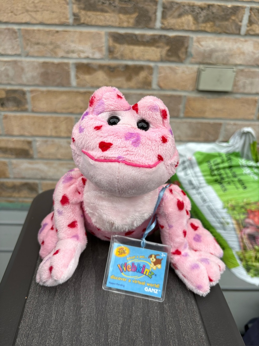 Webkinz Ganz Love Frog Plush (With Sealed Code + Tag)
